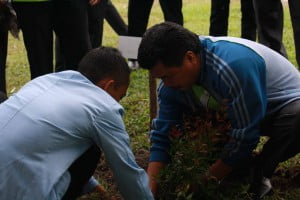 Dekan FKIP Dr. Nur Mustofa sedang menaman pohon. Foto HermanBM